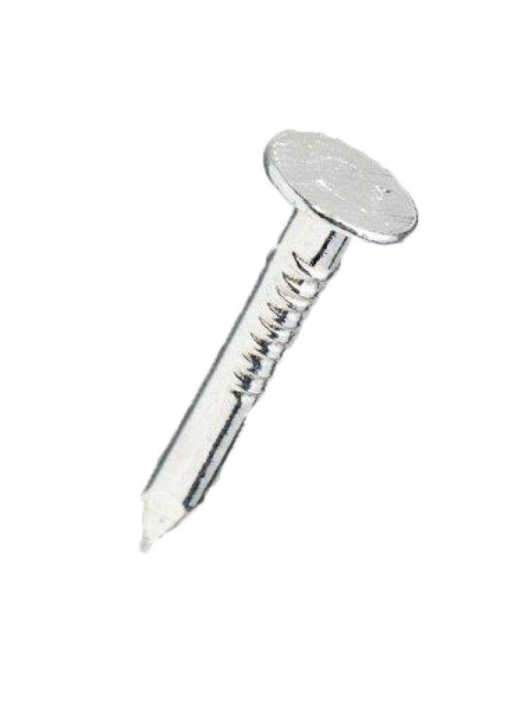 Asfaltnagel vz 3.0x20mm (1kg) afbeelding