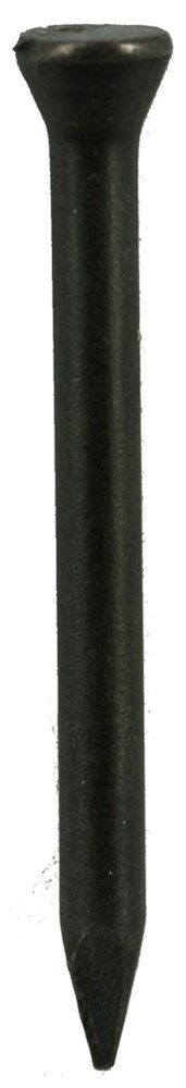 DQ stalen nagel 3.0x40mm ck (100st) afbeelding