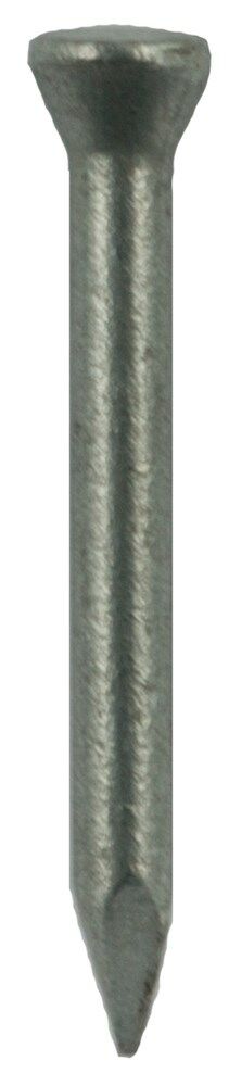 DQ stalen nagel vz 2.5x40mm ck (250st) afbeelding