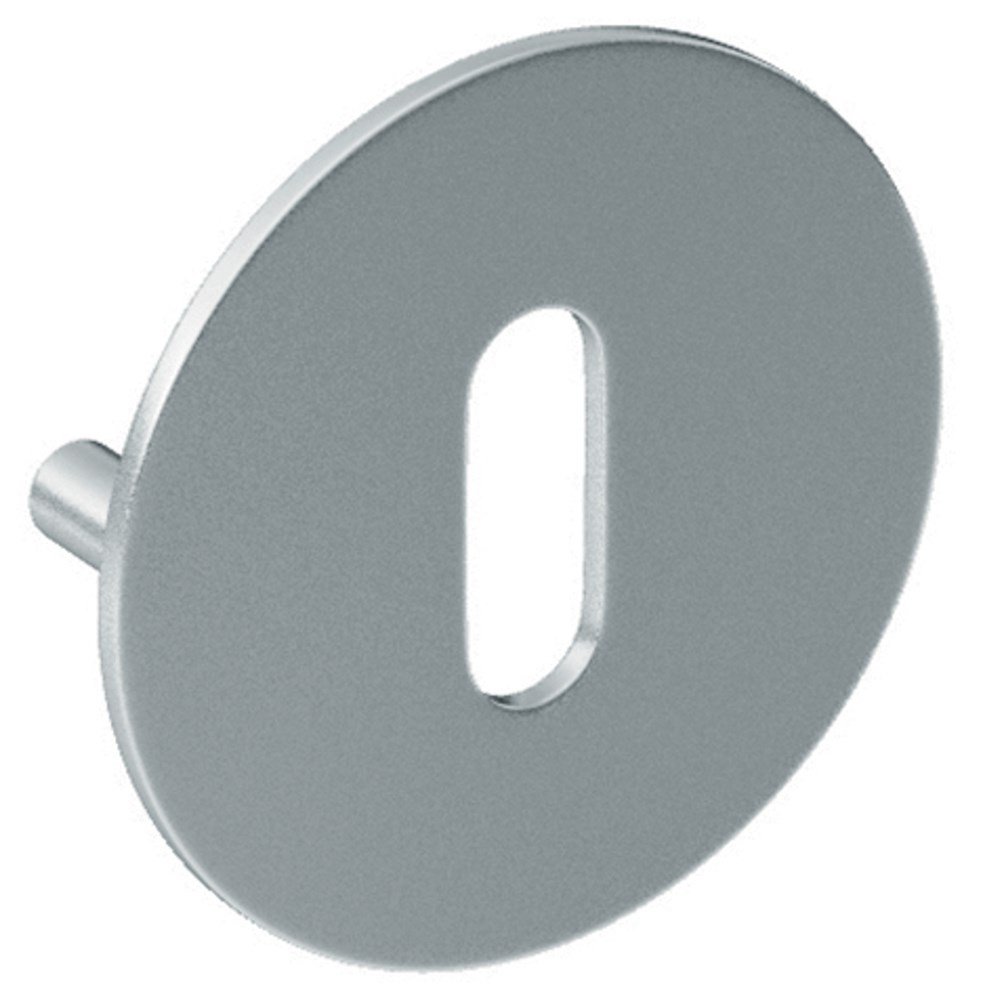 Sleutelrozet paar SF rvs mat SL