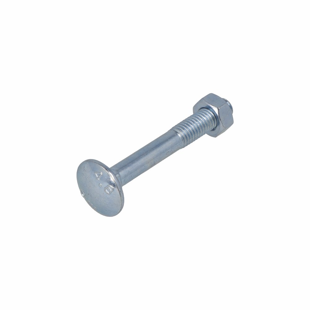 Slotbout 4.6 vz M12x160mm met moer DIN603/555