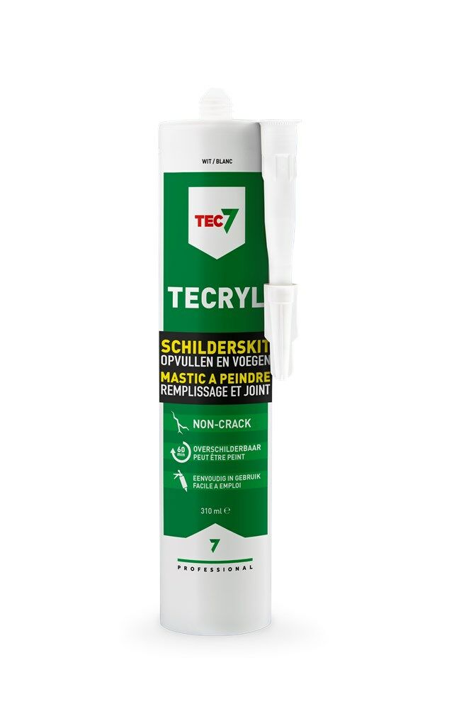 SCHILDERSKIT TECRYL 310ML