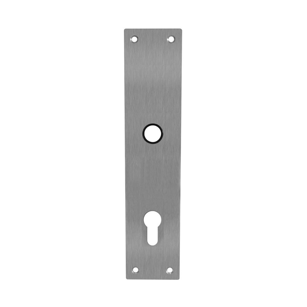 Schild renovatie rechthoekig 250 x 55mm x 2mm profielcilindergat 92mm RVS afbeelding