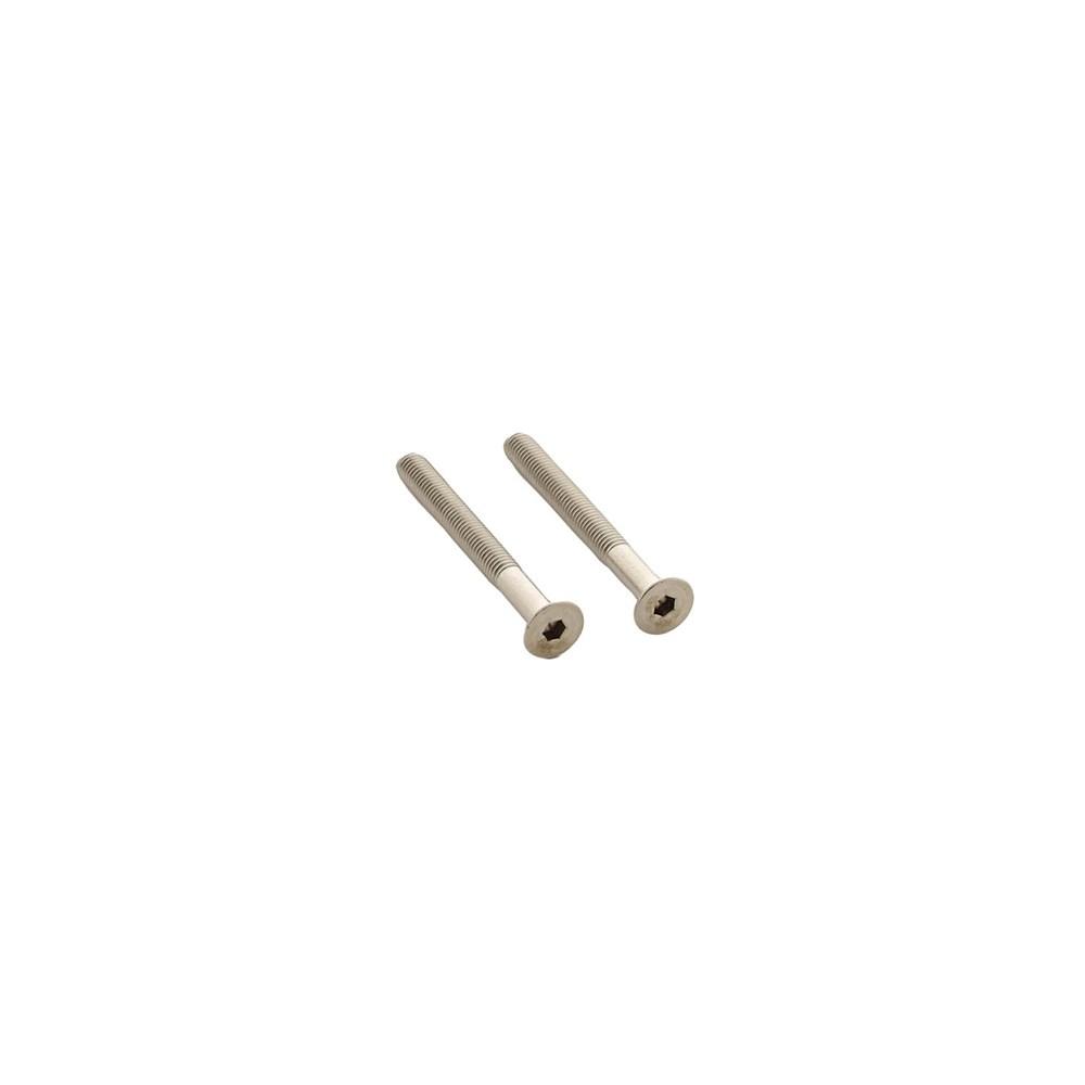 Set van 2 bouten 6-kant M5x48mm rvs afbeelding