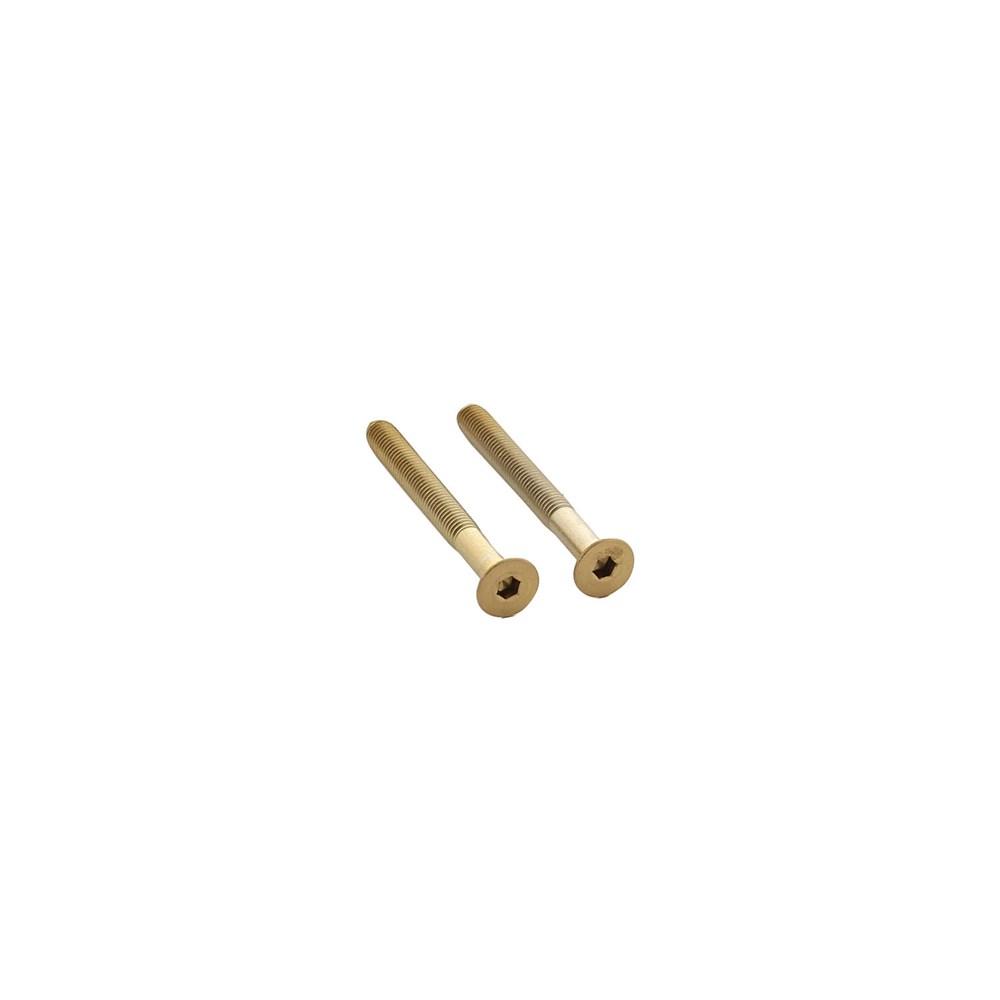 Set van 2 bouten 6-kant M5x48mm rvs PVD messing mat afbeelding