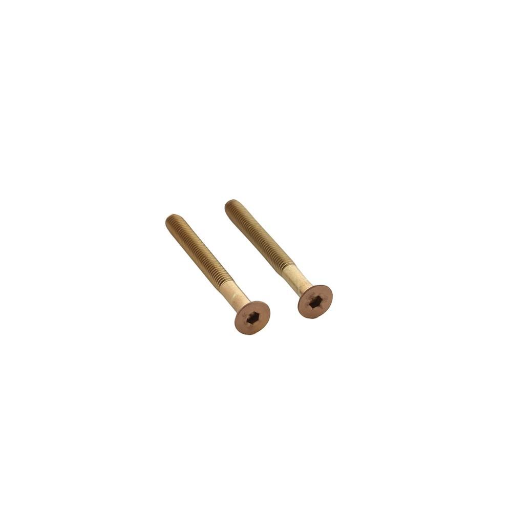 Set van 2 bouten 6-kant M5x48mm rvs PVD koper mat afbeelding