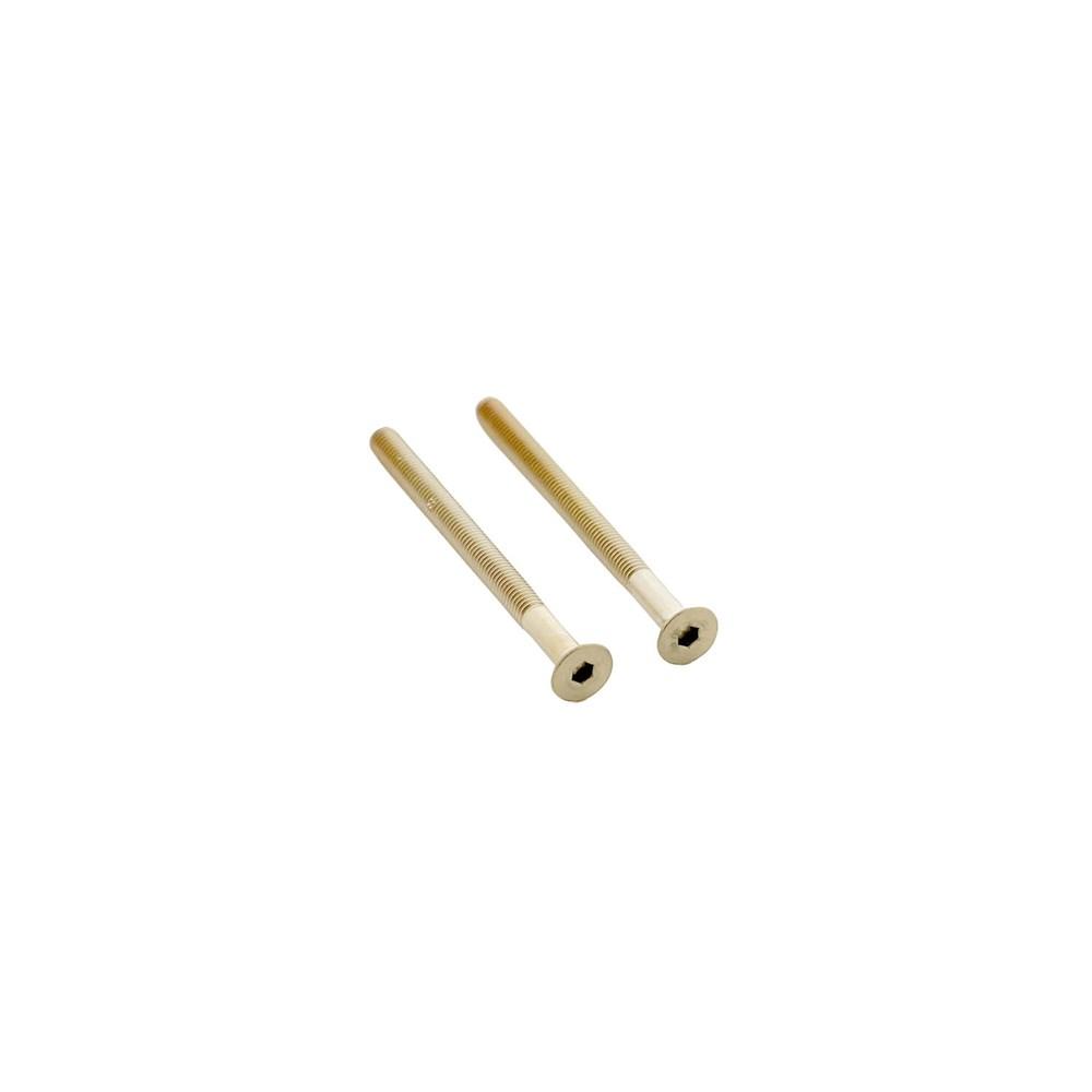 Set van 2 bouten 6-kant M5x65mm rvs PVD messing mat afbeelding