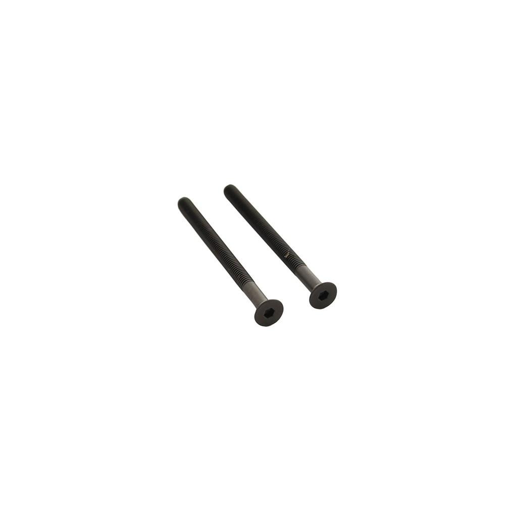 Set van 2 bouten zeskant M5x65mm RV afbeelding