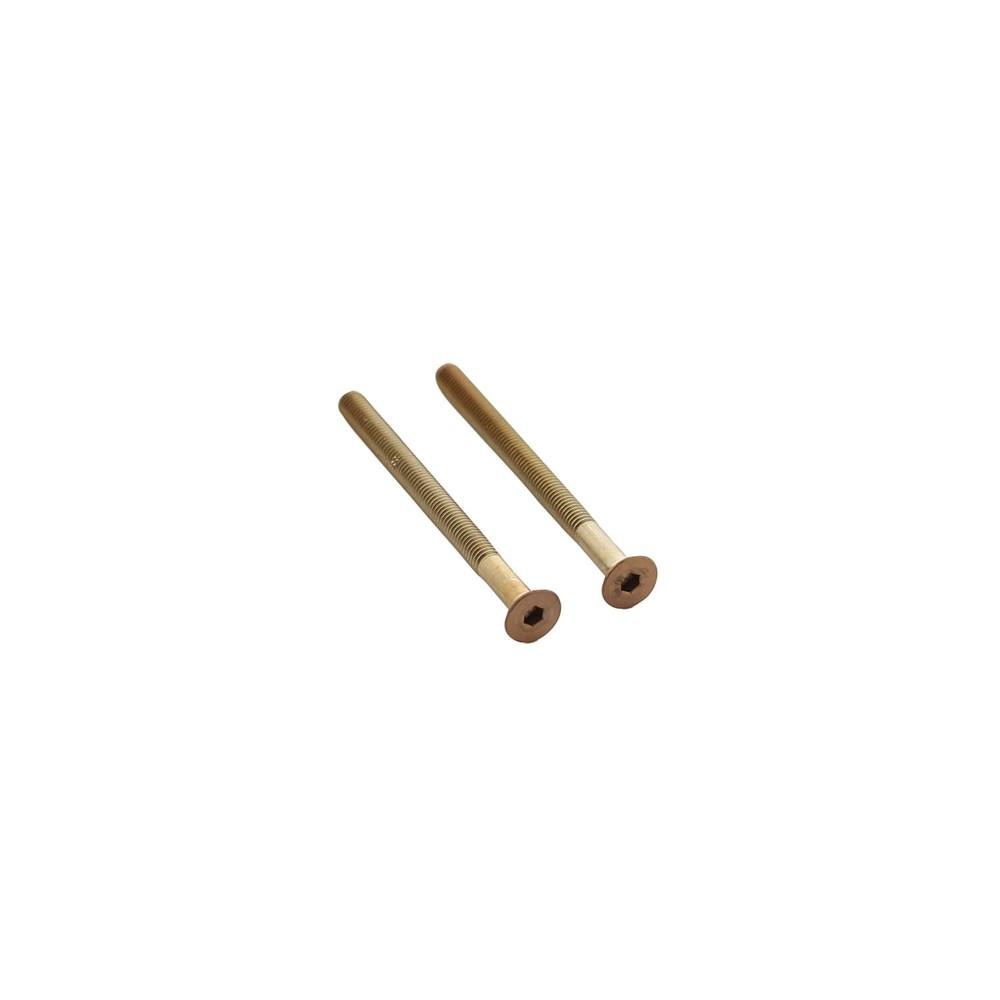 Set van 2 bouten 6-kant M5x65mm rvs PVD koper mat afbeelding