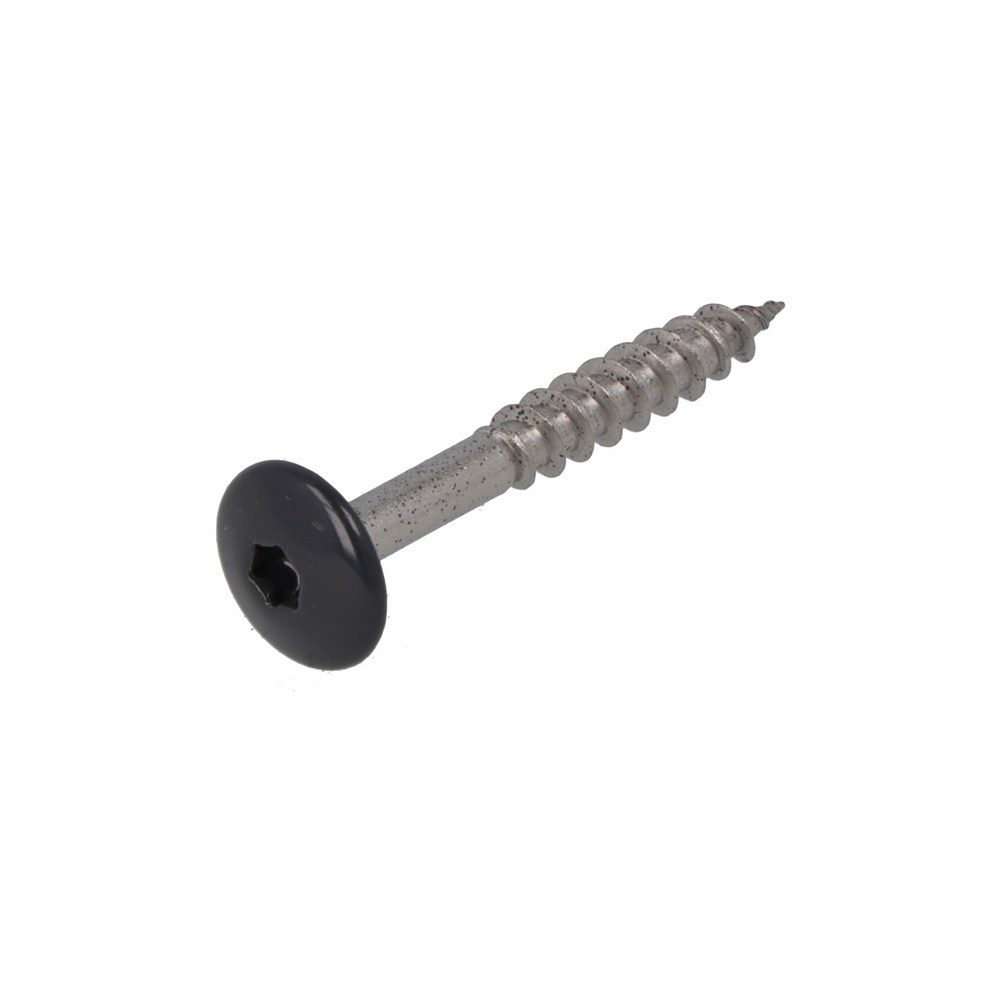 Dak&gevel kleurkopschroef rvs-a2 antr. ral7016 4.8x25 (50)