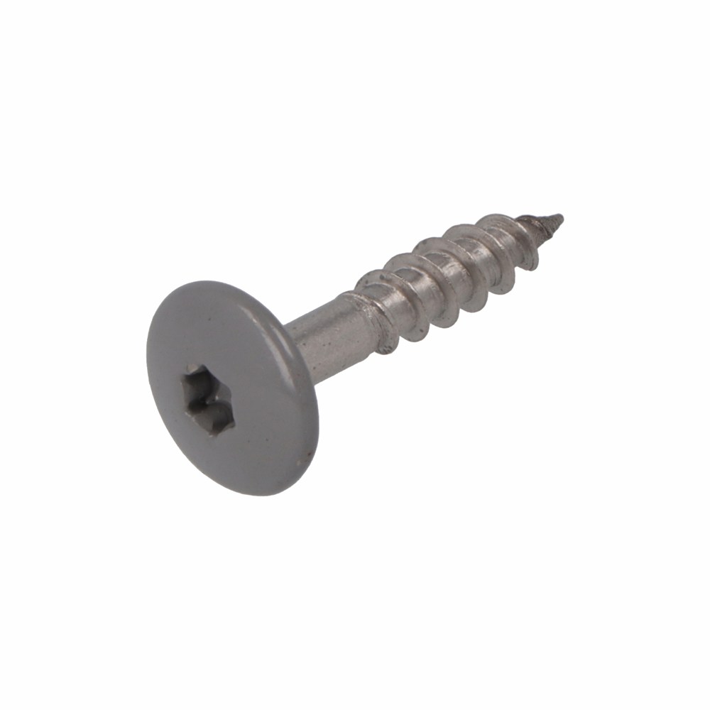 Dak&gevel kleurkopschroef rvs-a2 stofgrijs ral 7037 4.8x25 (50)
