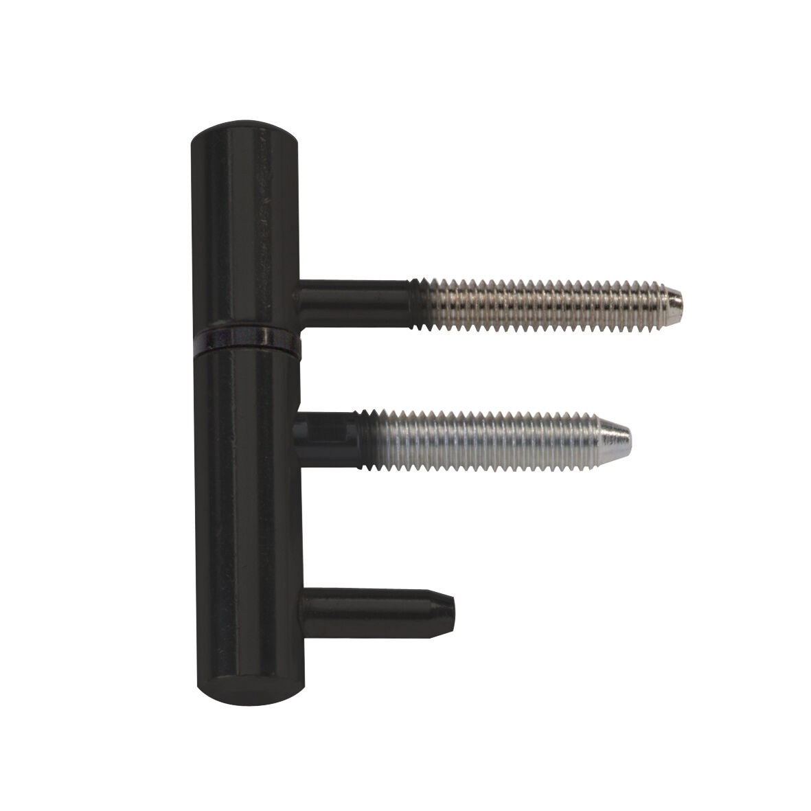 AXA Inboorpaumelle - 14x75mm - zwart afbeelding