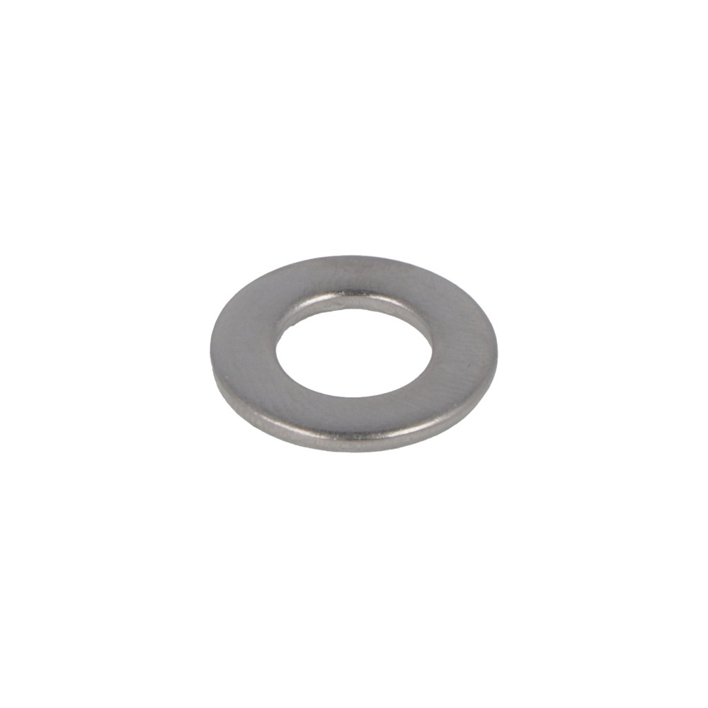 SLUITRING RVS M10 /100